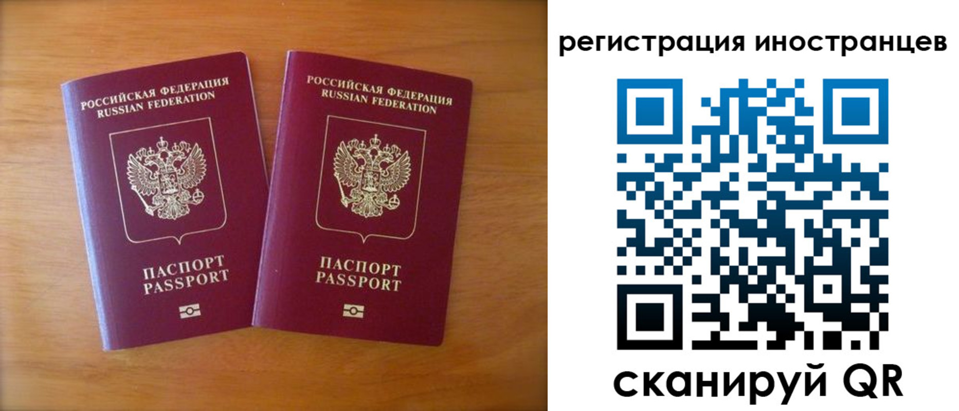 прописка поиск в Мурино